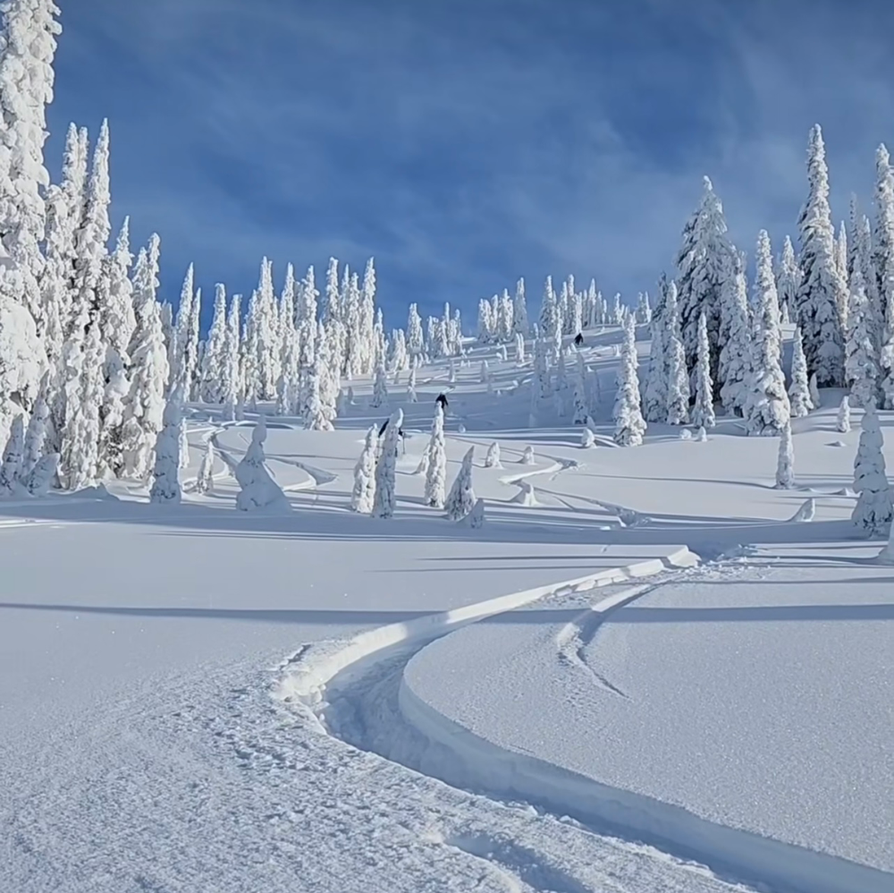 Слушать ski. Ослянка Пермский край зимой. Гора Ослянка зима. Снег фото. Снежная Лапландия.