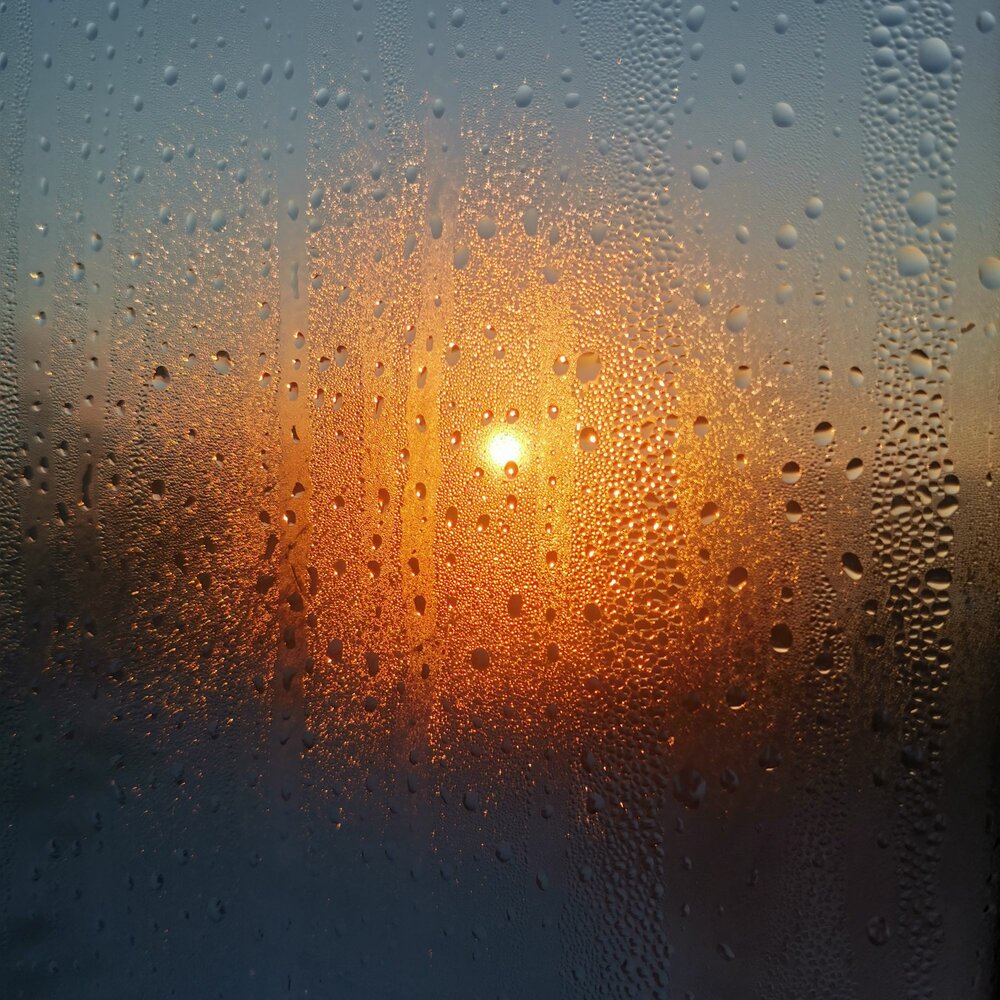 здесь даже солнца слушать