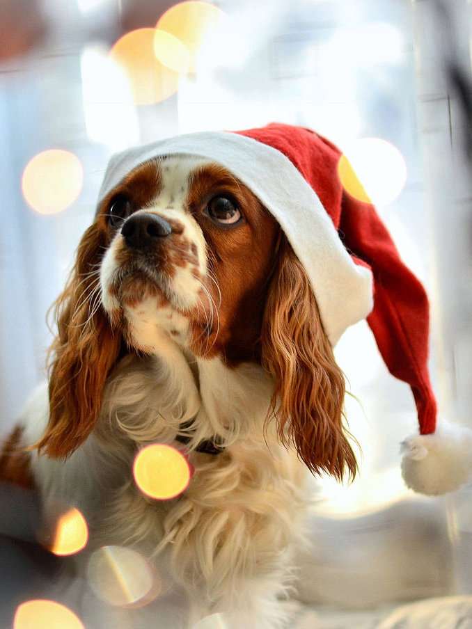 новогодняя заставка на рабочий стол.