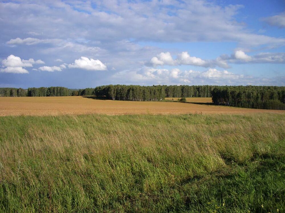 Запад земли. Западно-Сибирская равнина Кряж. Кузнецкая котловина. Западно Сибирская равнина в Кемеровской области. Деревни равнины Сибири.