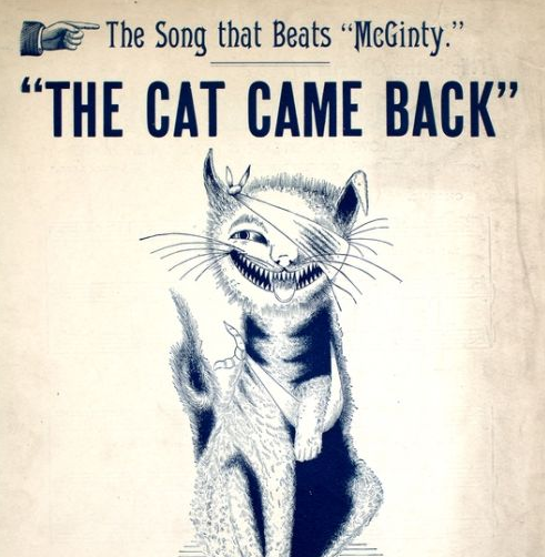 That cat. The Cat came back фф. The Cat came back 1936. Картинка the Cat come on. Cat comes to you.