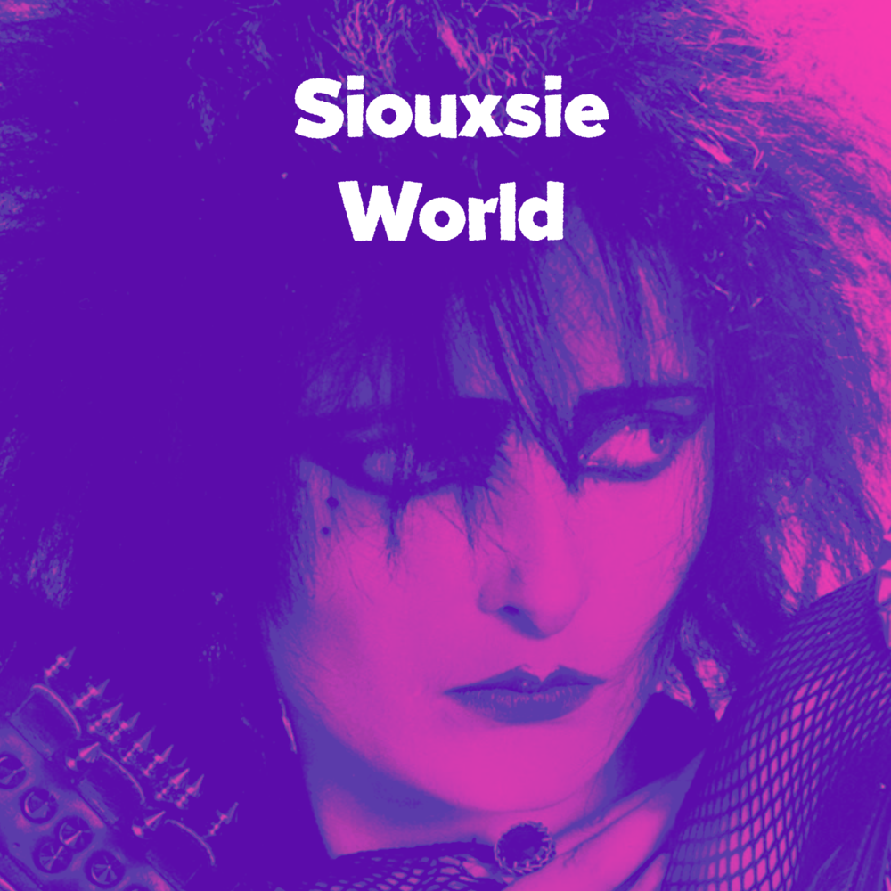 Happy house сьюзи сью. Сьюзи Сью. Сьюзи Сью 1976. Siouxsie and the Banshees Tinderbox.