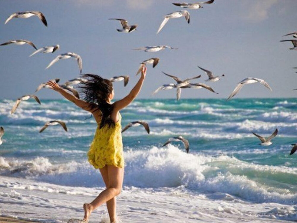 Песня лови лето. Счастливая девушка. Море птицы девушка. Счастье у моря. Наслаждение жизнью.