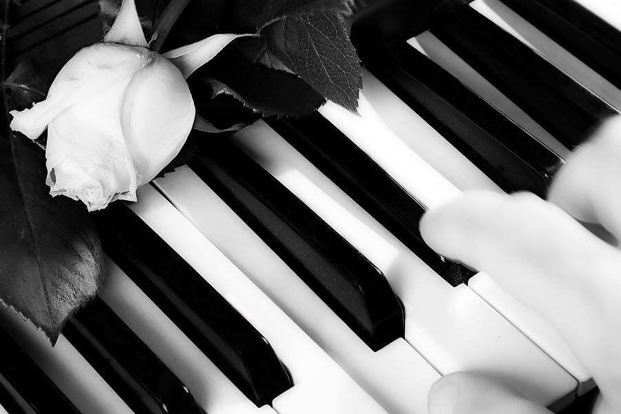 Музыка в жизни ребенка. Фортепиано. Черно белое пианино. Клавиши рояля. Красивое пианино.