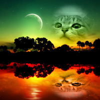 Валентин Павлов