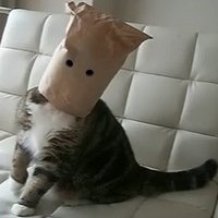 Георгий Сагин