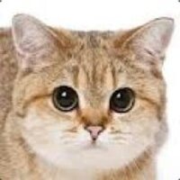zarkonnn Уоу, ты решил(-a) дать мне денег? Спасибо!:)