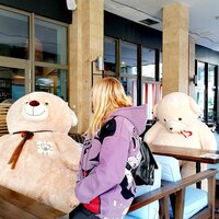 Галина Волкович